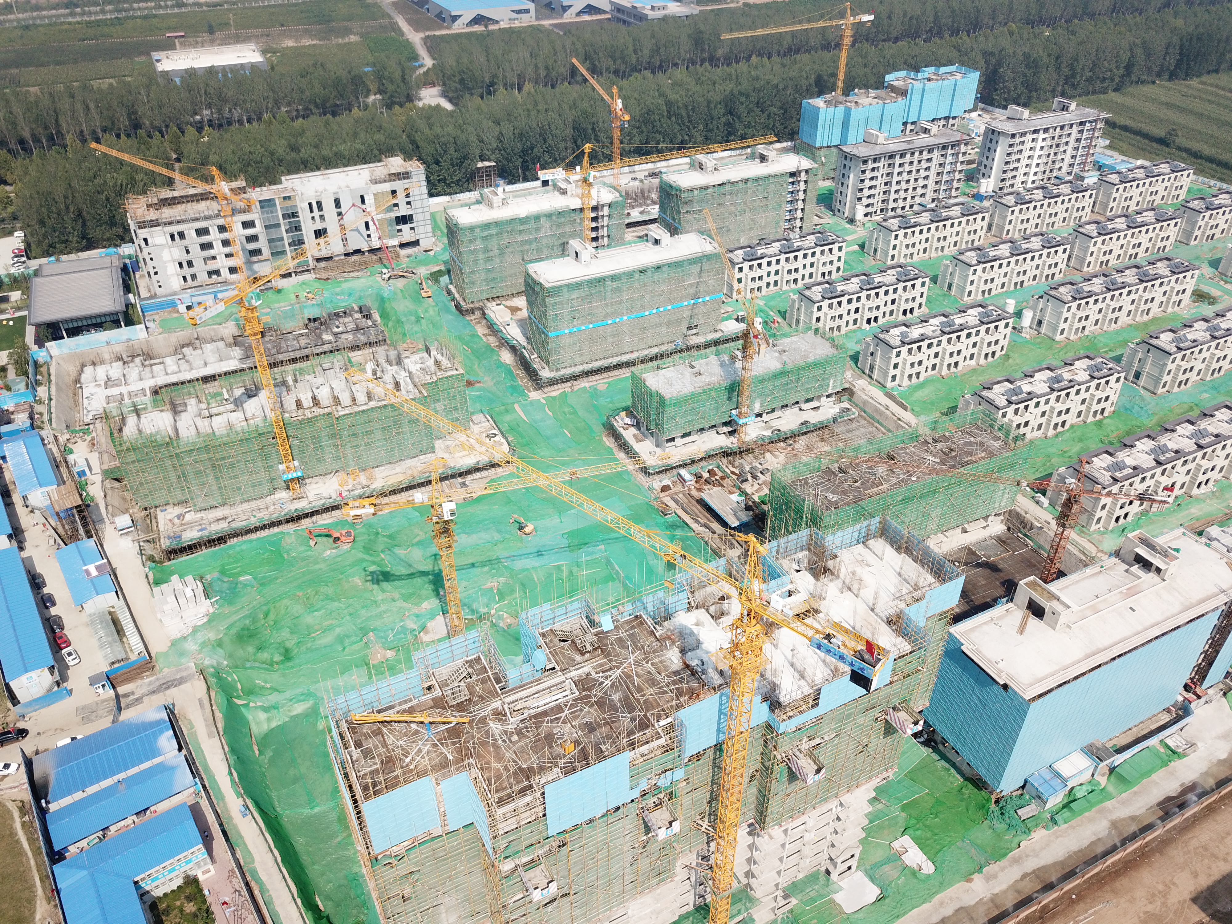 河北九游在线客服租赁,河北塔机出租,河北九游在线客服出租